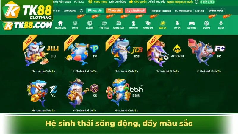 Hệ sinh thái sống động, đầy màu sắc