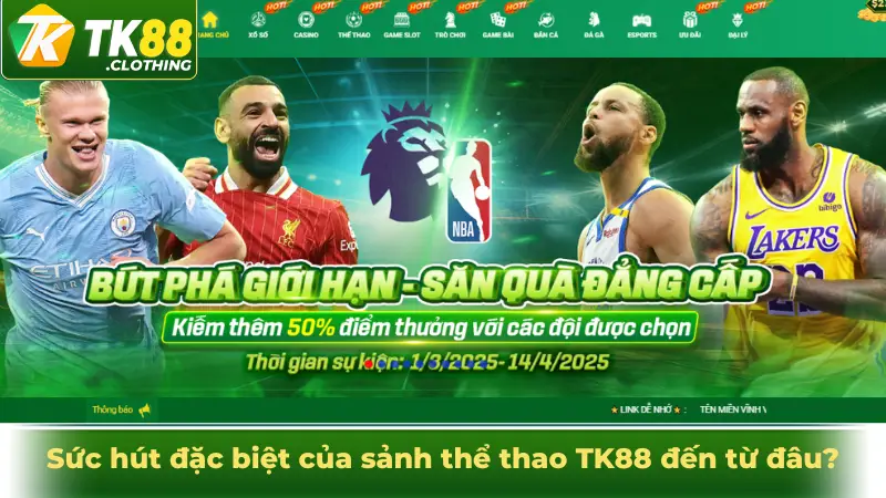 Sức hút đặc biệt của sảnh thể thao TK88 đến từ đâu?